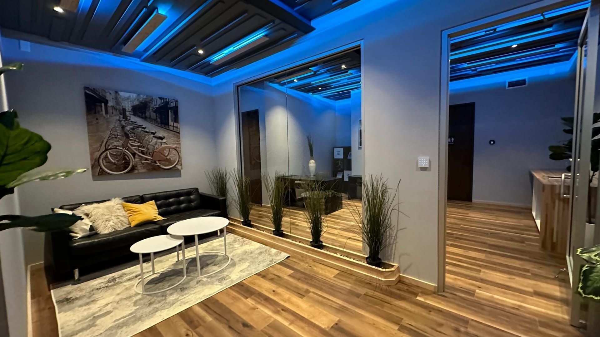 Lighting Design & Automation