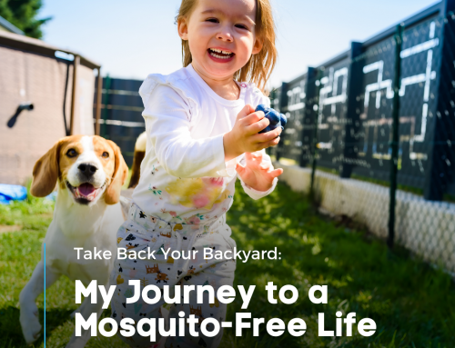 Take Back Your Backyard: My Journey to a Mosquito-Free Life
